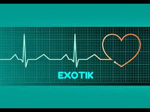 EXOTIK v štúdiu časť 3. Moja posledná chvíľa 2018 preview