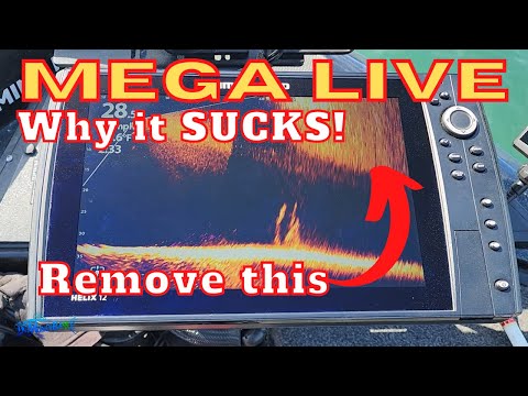 Screen clarity SUCKS! BEST Mega Live Settings How to Remove ALL interference! Pollen Settings
