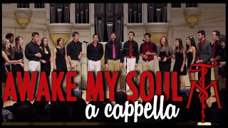 "Awake My Soul" (Mumford & Sons) - Twisted Measure A Cappella