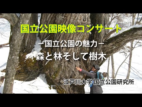 国立公園の魅力3「森と林そして樹木」