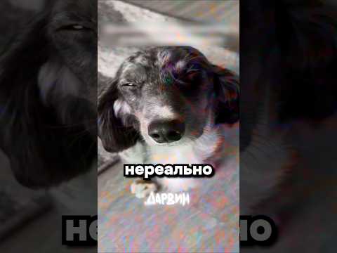 Нашел запрещенку