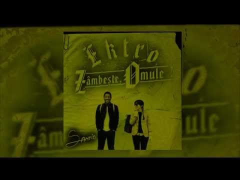 Ektro - Zâmbeşte, Omule! (prod. Vio)