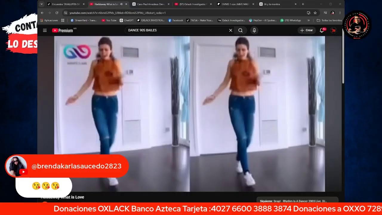 LA  IA QUE COMENZÓ A MENTIR