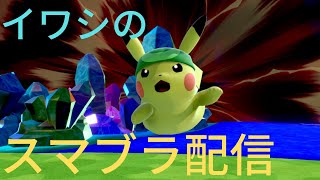 2日遅れのスマブラプリン1050万～【スマブラSP】