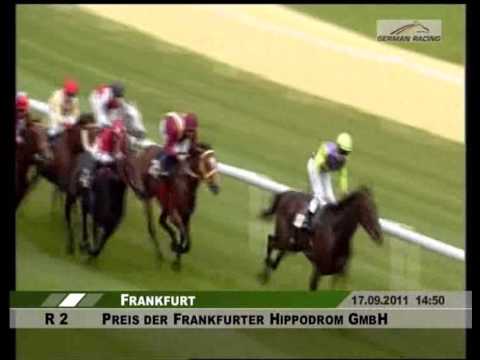 Frankfurt 17.11.2011 Preis der Frankfurter Hippodrom GmbH