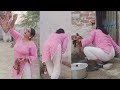 Pakistani Aunty Cleaning Vlog Desi House Wife Washing Routine Pakistani Family Cooking Vlog