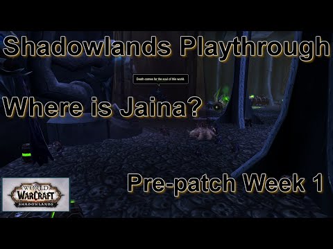 Shadowlands Pre patch Week 2 | Goodbye BFA | WoW Shadowlands Playthrough