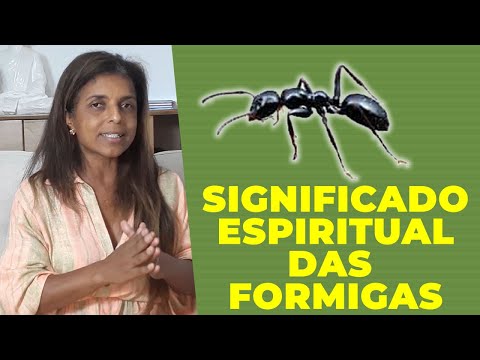 Qual o significado espiritual das Formigas com a Vidente Vandinha Lopes