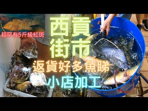 西貢街市見到舖頭返貨😍好多魚睇,乜都想試下🤤參觀下怪獸級5斤海紅斑😱我都係第一次見咁大🤩石蚌/大粒墨/網鰭石斑/花頭梅~fishcutting香港海鮮~社長遊街市Seafood