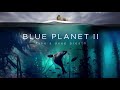 Hans Zimmer & Radiohead - (Ocean) Bloom [Without trailer noises]