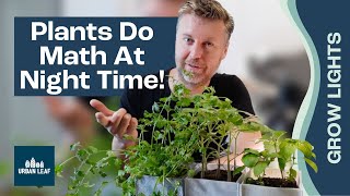 Phototropism Video Tutorial & Practice | Pearson+ Channels Phototropism Video Tutorial & Practice | Pearson+ Channels