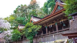 吉野水分神社 日本の世界遺産・動画