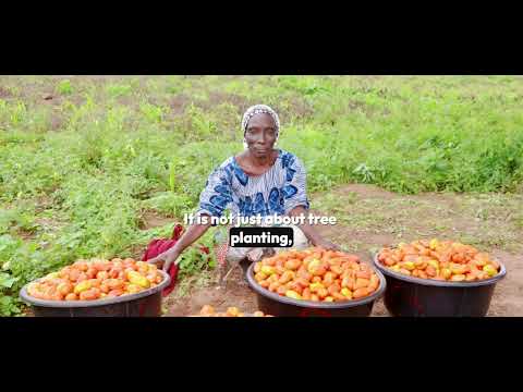ANNUAL COMMUNITY TREE PLANTING FOR LIVELIHOODS
