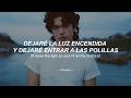 Conan Gray Moths Sub Español Lyrics