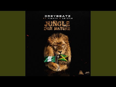 Jungle Don Mature (feat. Timaya, Ce'cile)