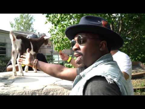 Anthony Hamilton and The Hamiltones - Whose Billy Goat is This?