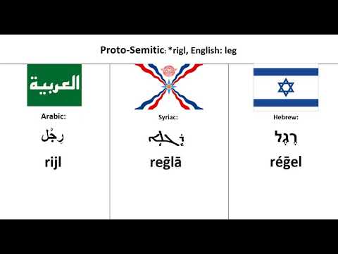 Semitic Languages | Word Comparison