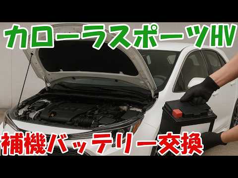 youtube-旅・海外記事2025/10/11 16:21:59