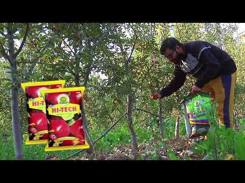 BARDANA SUPER HI TECH AGRO TONIC Ad 2021 - 1