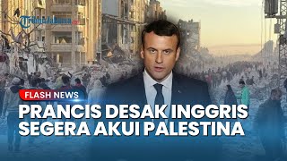 Dunia Bergerak! Prancis Desak Inggris Akui Palestina Negara Merdeka dan Hentikan Agresi Warga Gaza