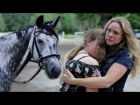 Schmerzlicher Abschied von Falco - Ein Pferd wie kein anderes verlässt Hof Eicheneck