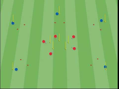 Capacità aerobica con allenamento a circuito tecnico nel calcio: la Stella