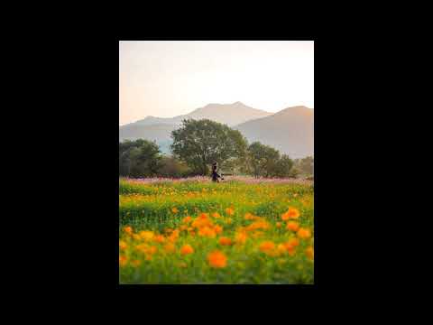 noname x saba x smino typebeat "empty handed" (prod. xavierstoned) *Free