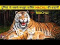 बेटी के लिए छोड़ा Ranthambore का राज World S Most Famous Tiger