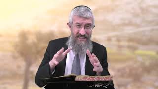 מסכת מנחות דף קג - 8 דקות של לומדות ועמקות בדרך הלימוד הישיבתית [Menachot 103]