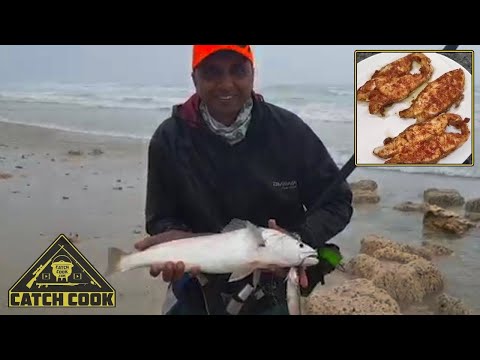 download lagu mp3 mp4 Kob Fish Recipes, download lagu Kob Fish Recipes gratis, unduh video klip Kob Fish Recipes