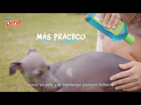 Shampoo Limpieza y Suavidad Nuevo empaque