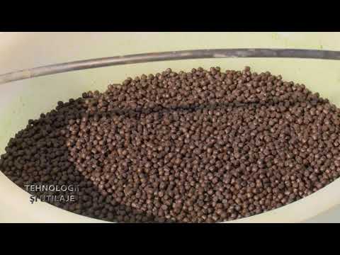 Tehnologii si utilaje Pastravarie Sirna Prahova 08 10 2020