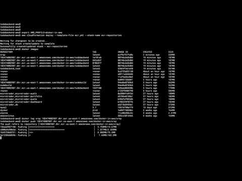 Docker on Amazon Web Services | 14 Fargate and ECS Service Discovery