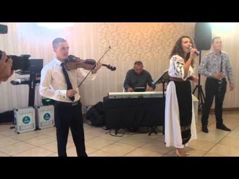 Madalina Mirza - Mocirita cu trifoi live nunta Gherla 2015