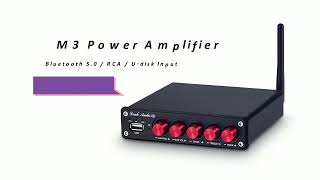 Douk Audio M3 HIFI 2.1 Channel Digital Amplifier w/Bluetooth 5.0 / U-disk / RCA Inputs