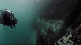 Dive with Octopuses and Eels in 360 3D! | Our Blue PlanetVR | BBC Earth