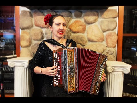 5945 - Alpine Lubas Steirische Chromatic / Diatonic Hybrid Button Accordion MM 43 12 $1999