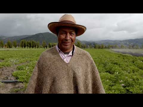 Video: Región Andina de Colombia