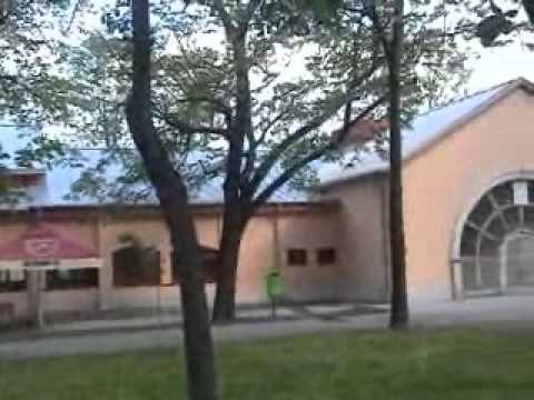 23-04-2010expozitie.