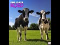 Pink Floyd Live KQED Studios In San Francisco April 29 1970