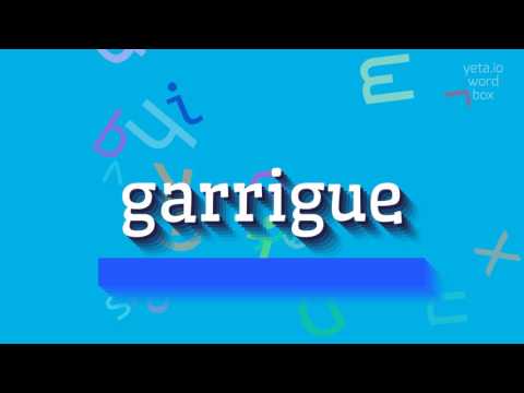 GARRIGUE - HOW TO PRONOUNCE GARRIGUE? #garrigue