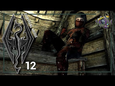 Riften, Proposal, & Astrid - Skyrim Survival Mode - Part 12 - Argonian Mage