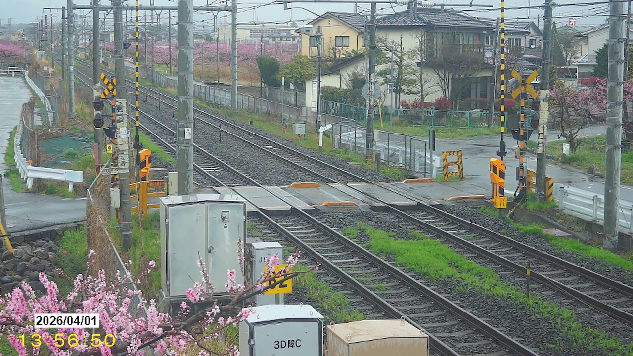 JR 中央本線ライブカメラ③（春日居町 ⇔ 石和温泉）熊野権現踏切【3月】🌸