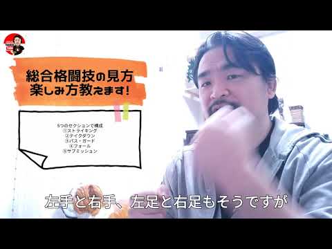 総合格闘技の見方、楽しみ方教えます！☆YamakenTube