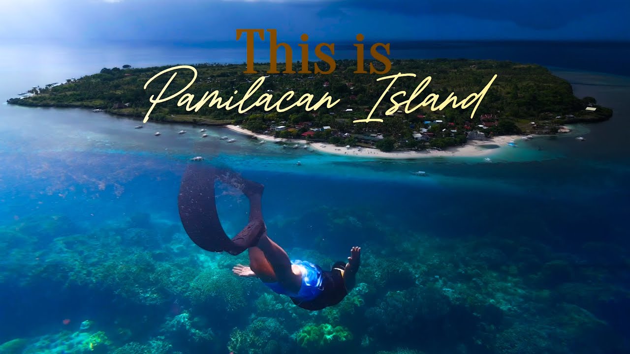 Join a traveler on a day trip to Pamilacan Island.