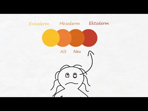 Krankheit ist anders - Die Gewebstypen (Teil 6)