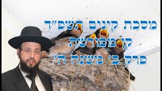 מסכת קינים תשפ"ד קן מפורשת פרק ב' משנה ה' (הרב יחזקאל מוצא) - התמונה מוצגת ישירות מתוך אתר האינטרנט יוטיוב. זכויות היוצרים בתמונה שייכות ליוצרה. קישור קרדיט למקור התוכן נמצא בתוך דף הסרטון