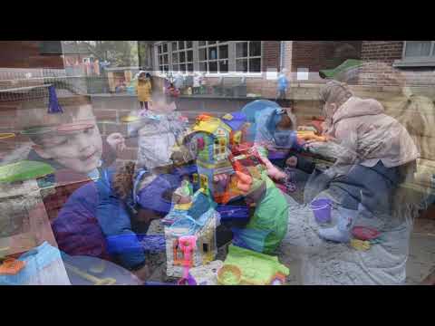 Comber Primary School P1 2020