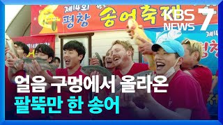 [ KBS] 3년 만에 돌아 온 '평창송어축제' 빙판 위 웃음 꽃 만발