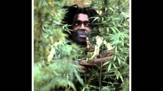 Peter Tosh - Brand New Second Hand (Version)